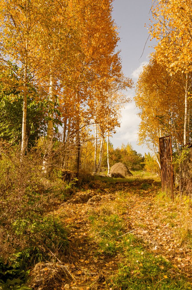 Фотография автора Hovhannes Nersisyan