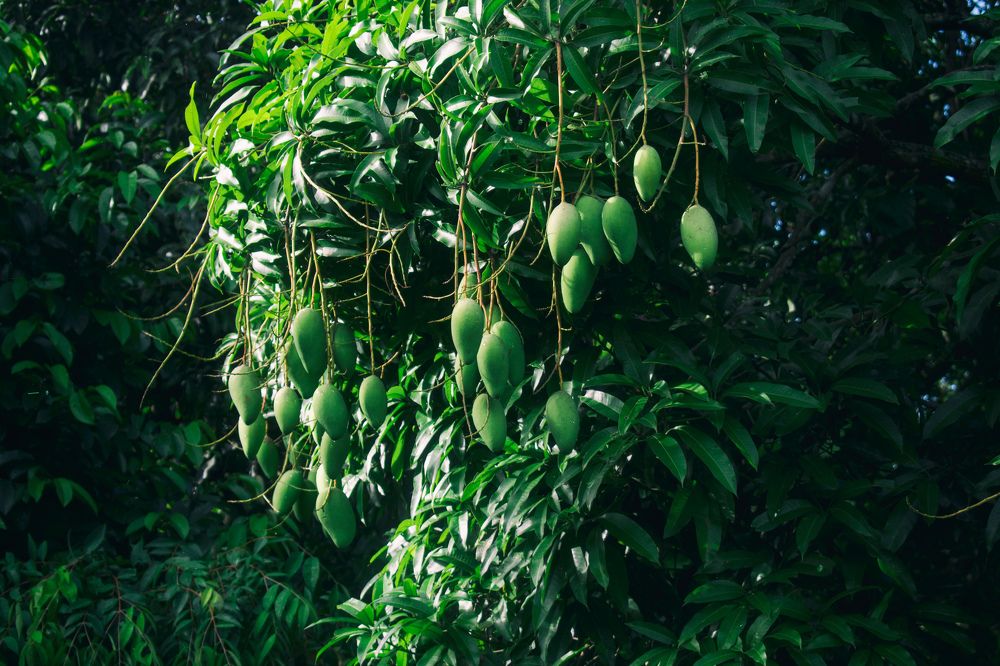 Photograph by Игорь Еремеев