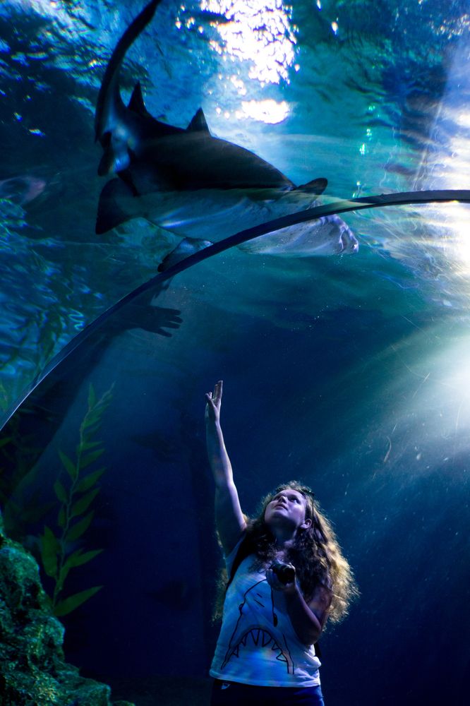 Photograph by Игорь Еремеев