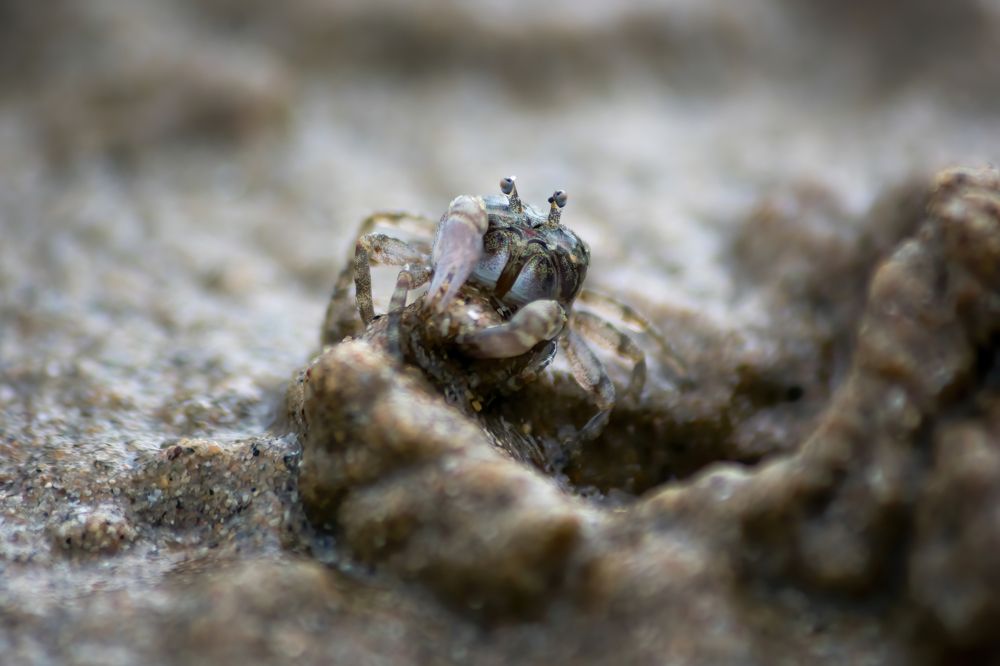 Photograph by Игорь Еремеев