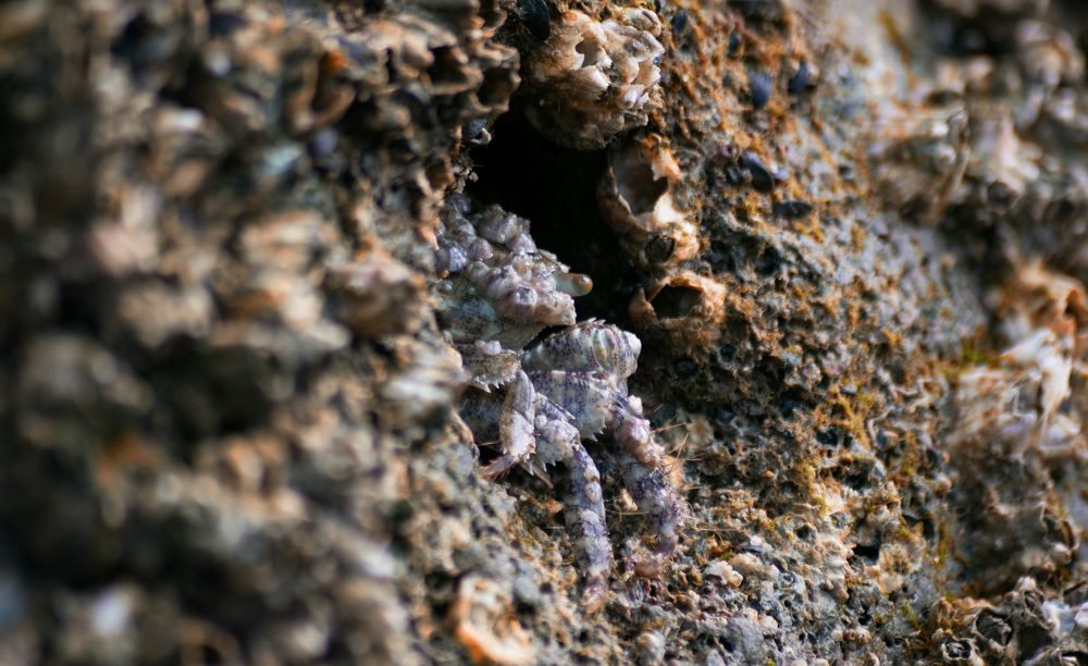 Photograph by Игорь Еремеев