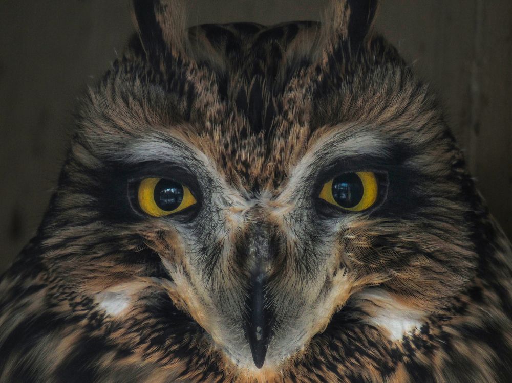 Photograph by Виктор Карпухин