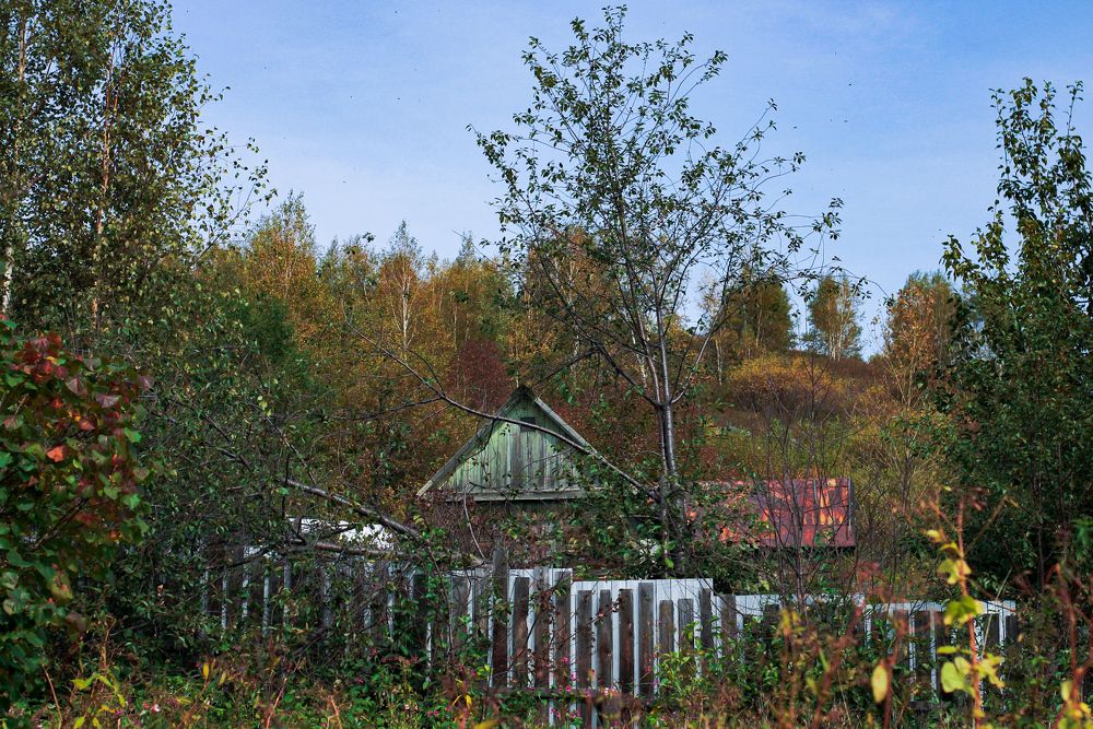 Photograph by Дарья