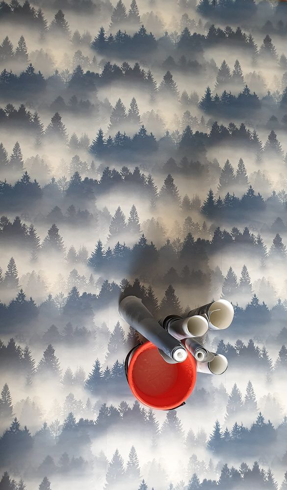 Фотография автора Александра Асаулко