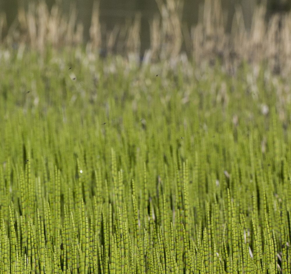 Фотография автора Александр Собокарь