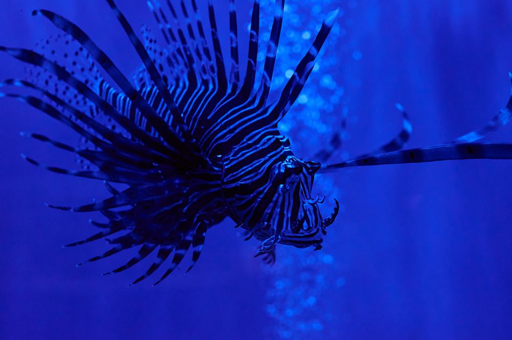 Photograph by Екатерина