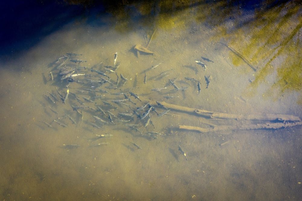 Photograph by Илья