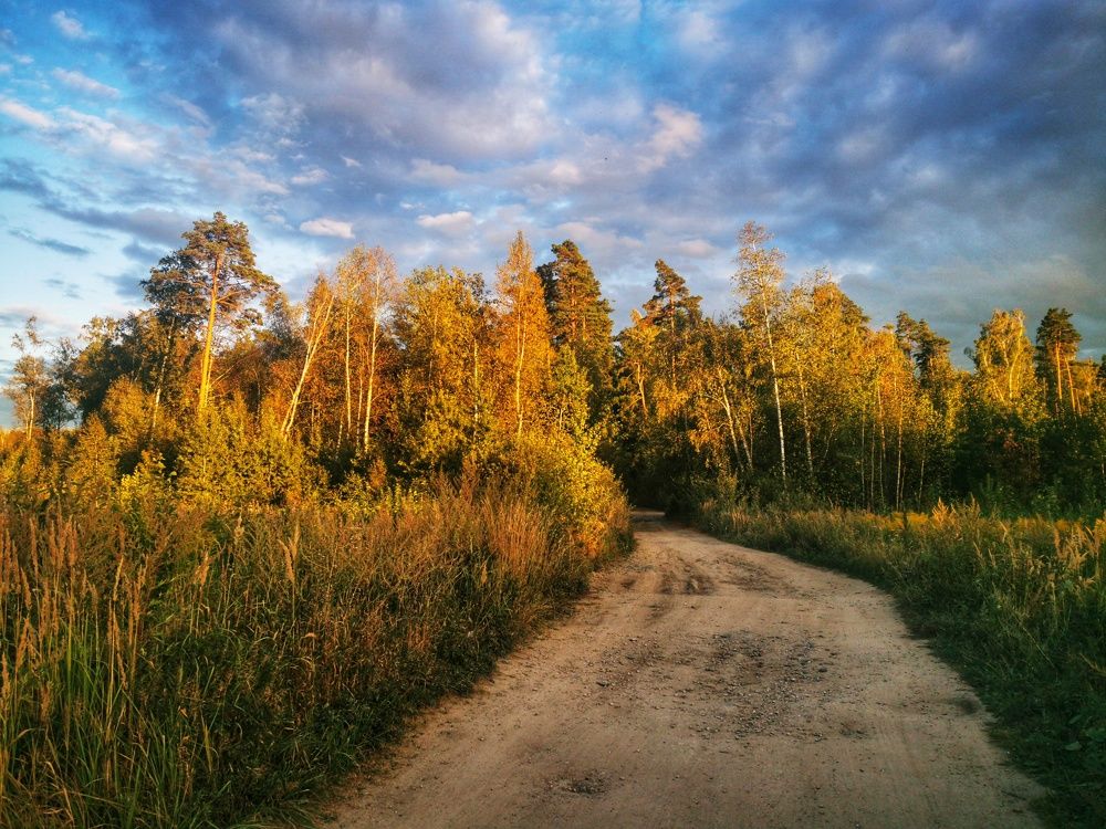 Photograph by Настя Хомастя