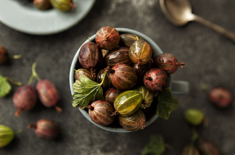 Photograph by Лариса Кисурина