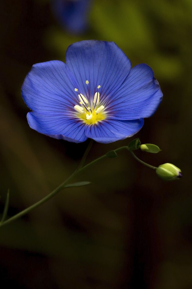 Photograph by Олег Тетерин