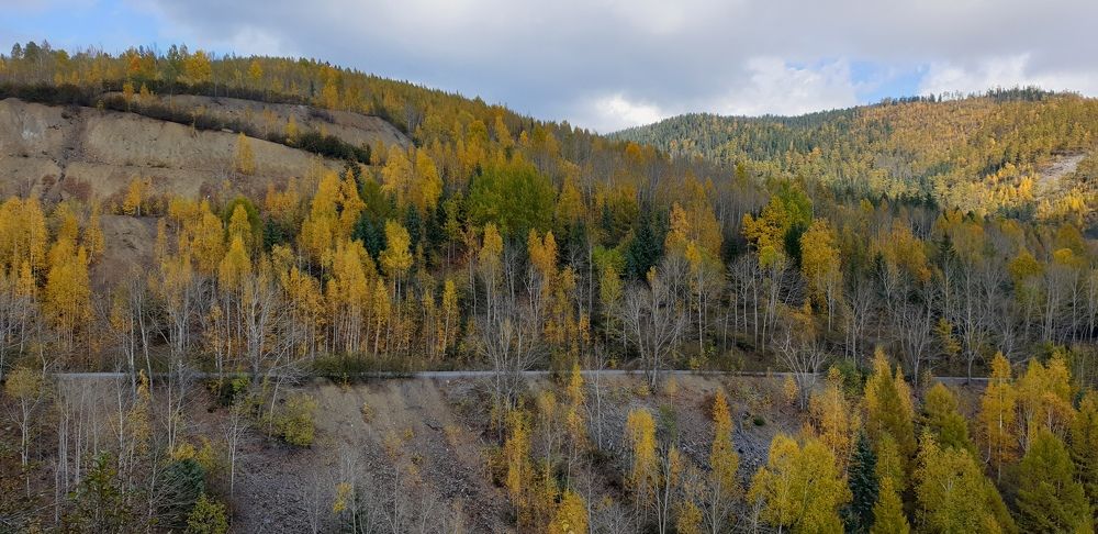 Фотография автора Александра Асаулко