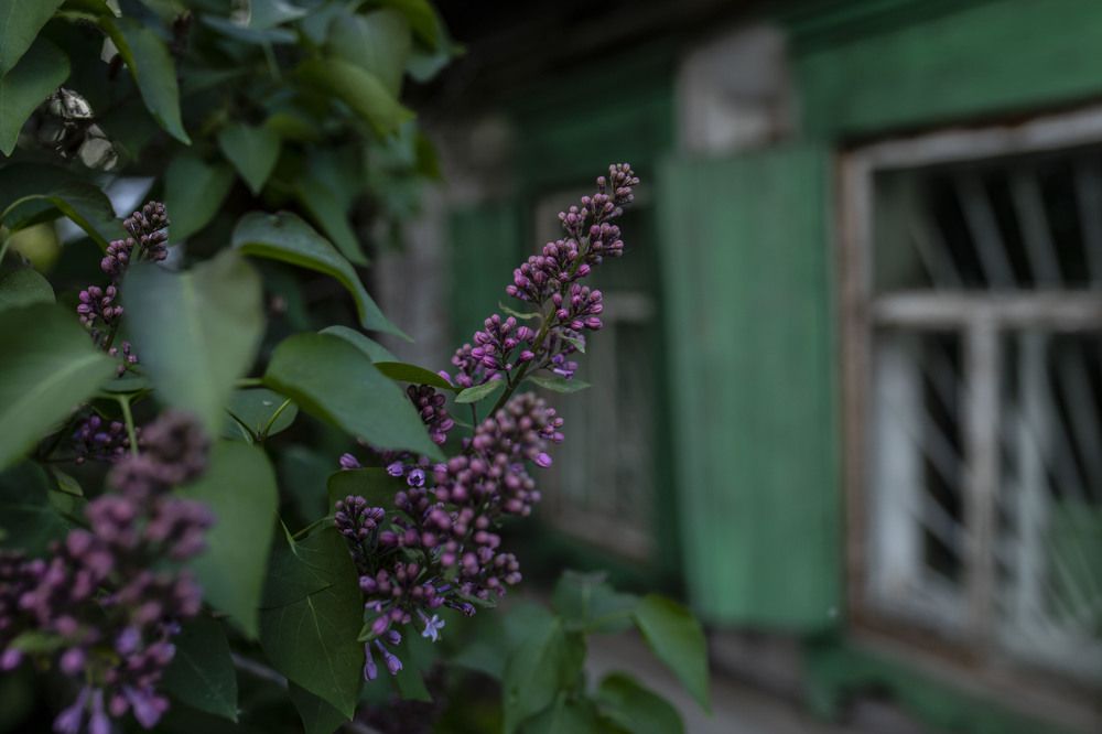 Photograph by ИРЕНА Федорова