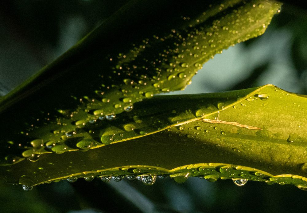 Photograph by ИРЕНА Федорова