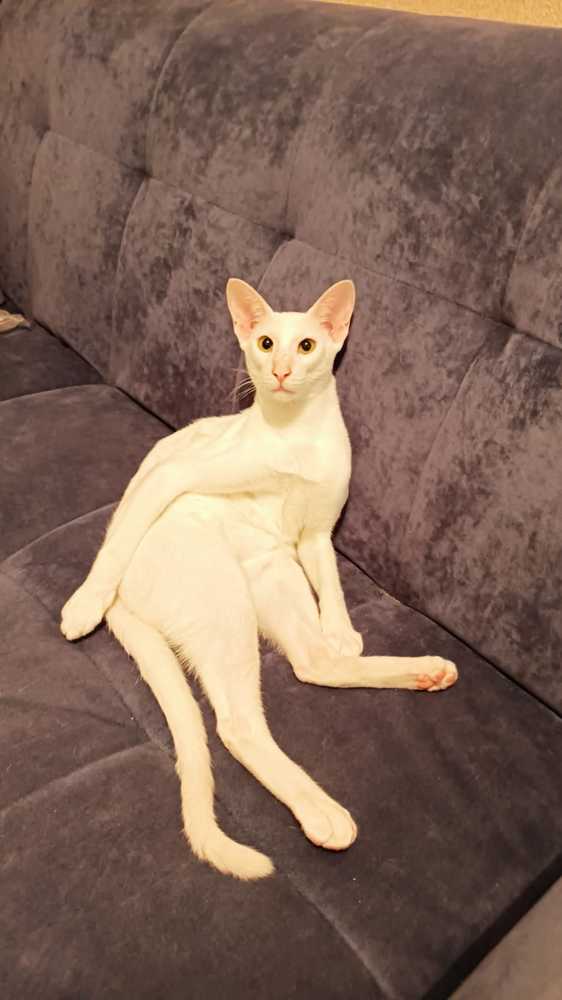 Photograph by Татьяна Мелехина