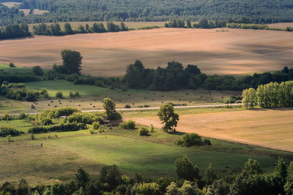 Веет с поля аромат...