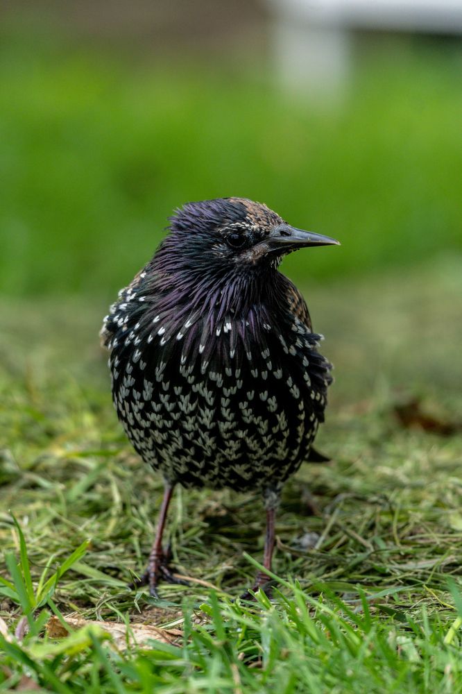 Photograph by Aleksander