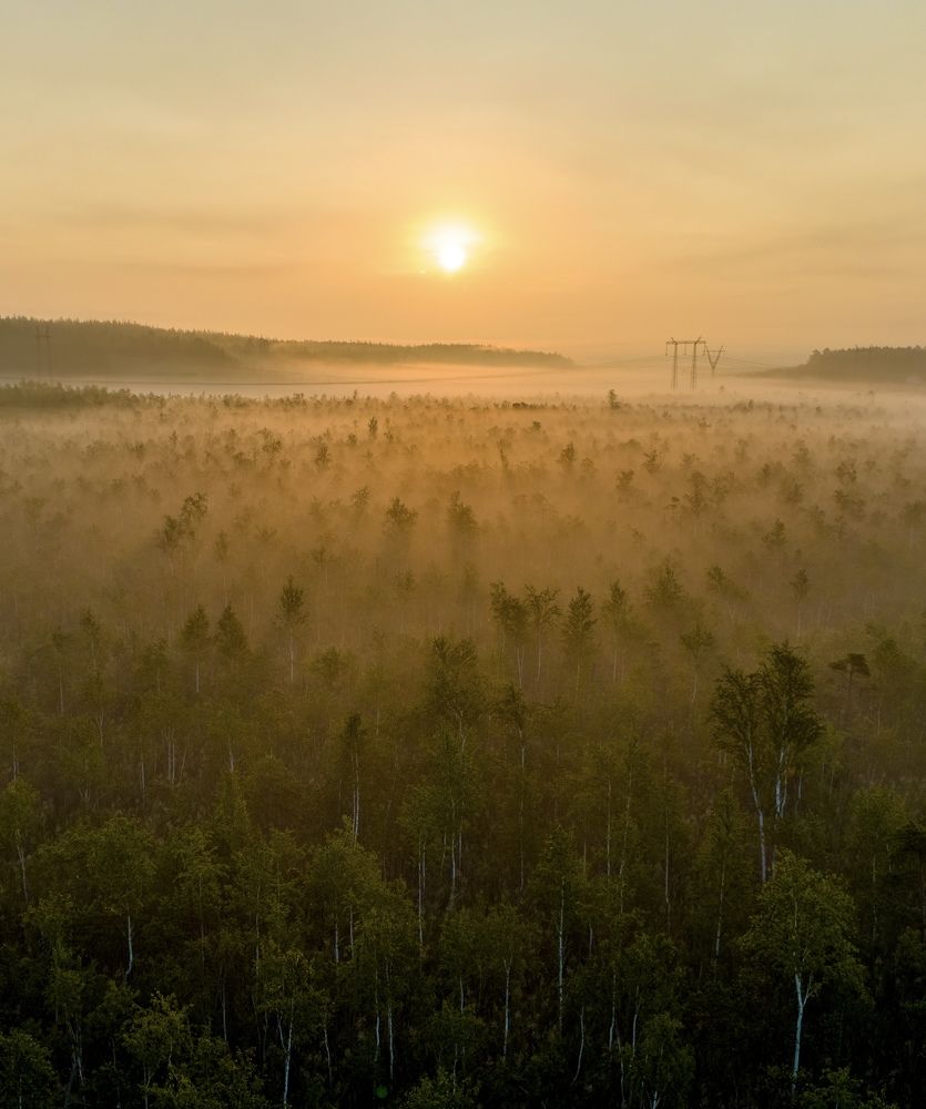 Photograph by FlyMyPenguin