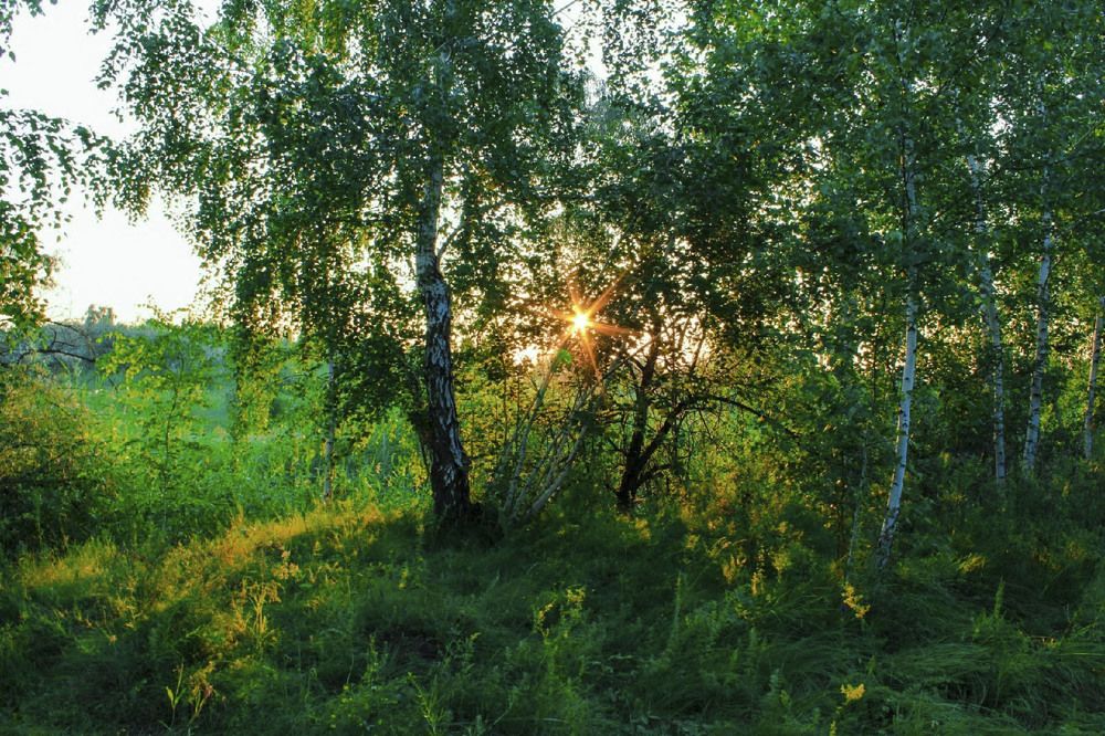 Photograph by Андрей Астафьев