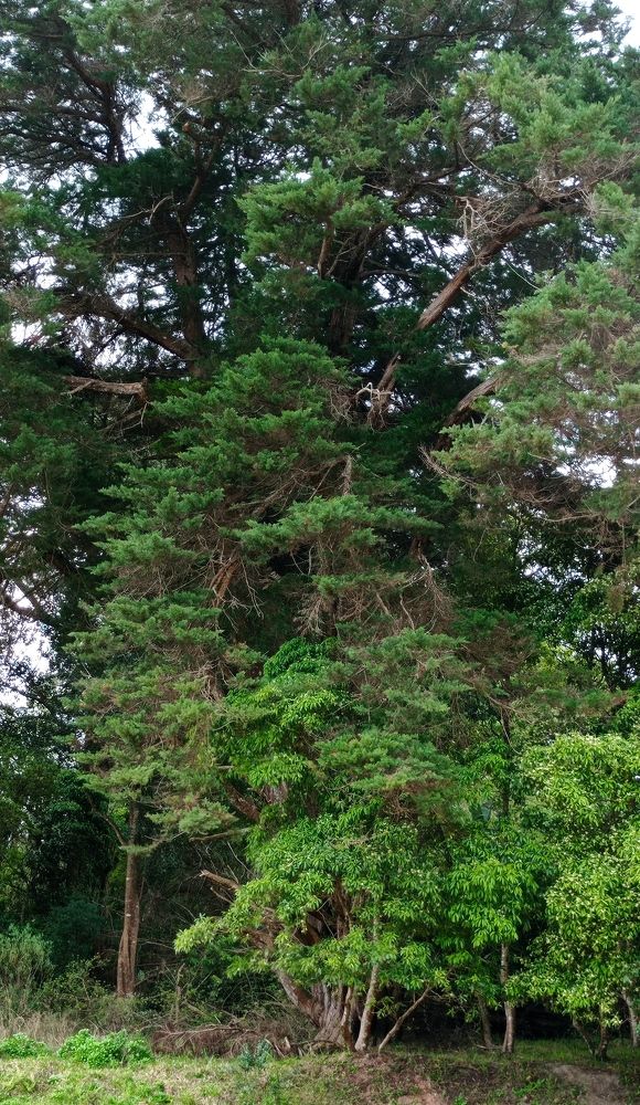 Photograph by Irene Gordillo