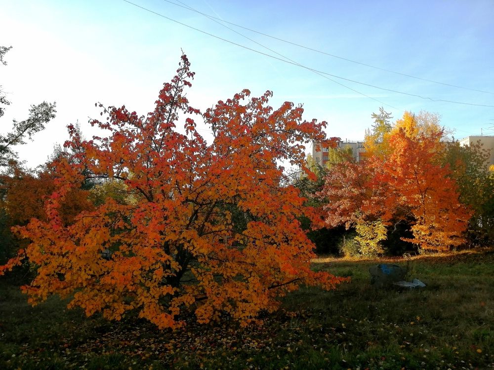 Photograph by Надежда Яковлева
