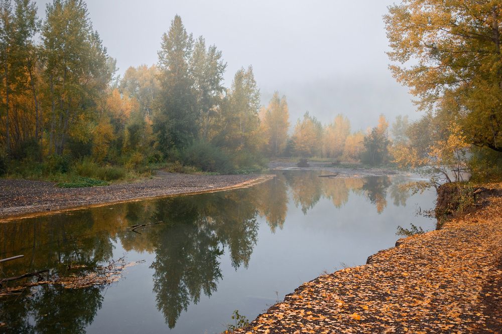 Зашуршала осень золотая...