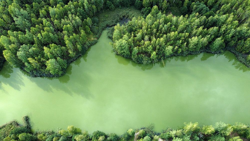 Photograph by Михаил Рассказ