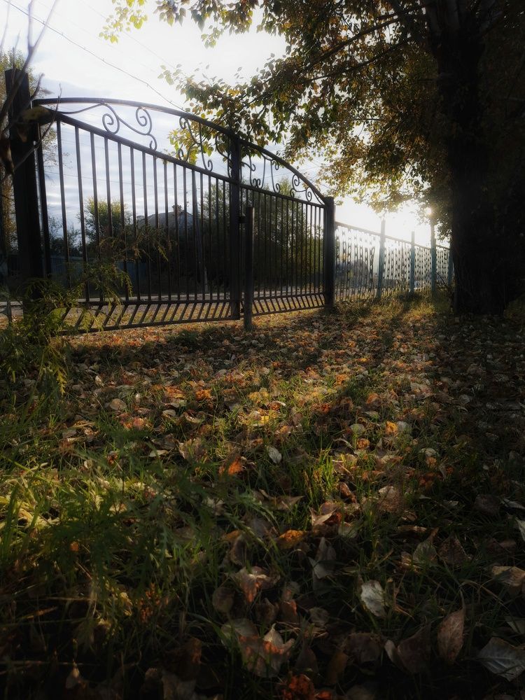 Photograph by Анастасия Дубинина