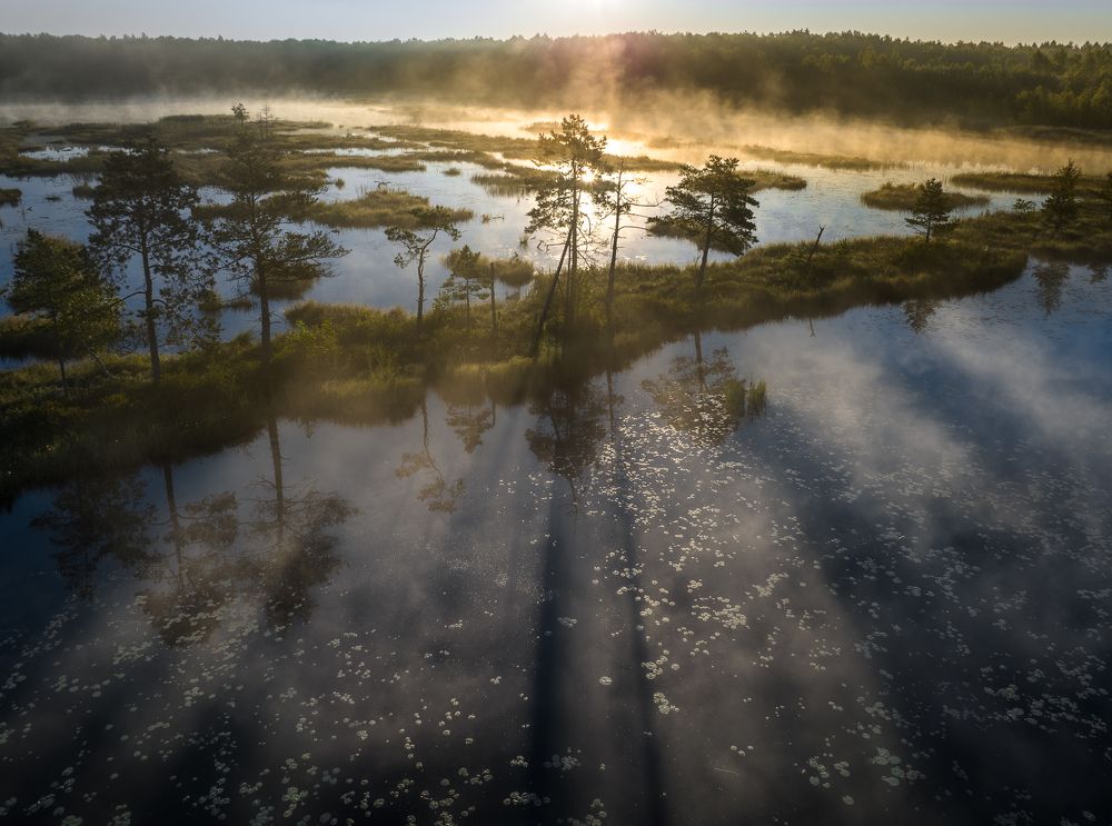 Фотография автора Гарбузов Илья