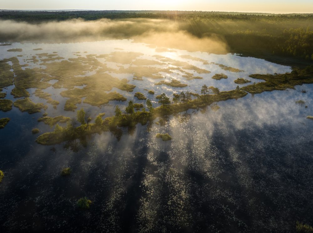Фотография автора Гарбузов Илья