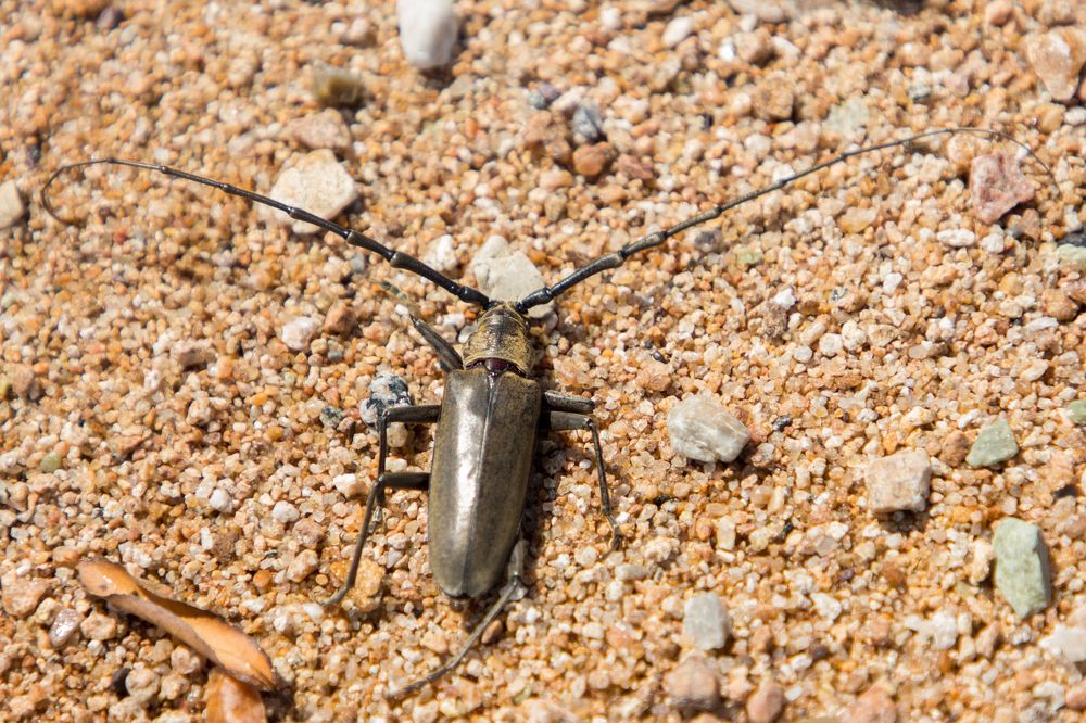 Photograph by Елена Кондратьева