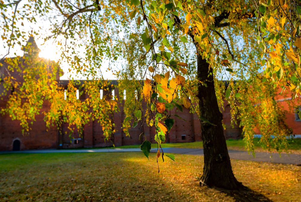 Фотография автора Людмила Прокофьева