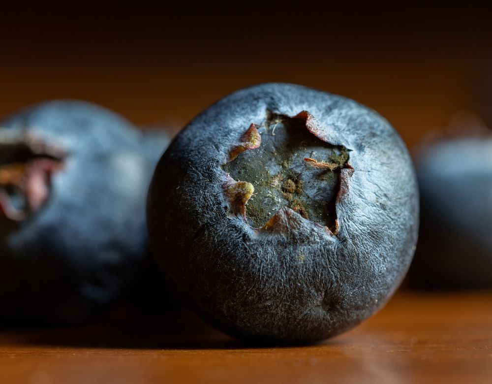 Фотография автора Людмила Прокофьева