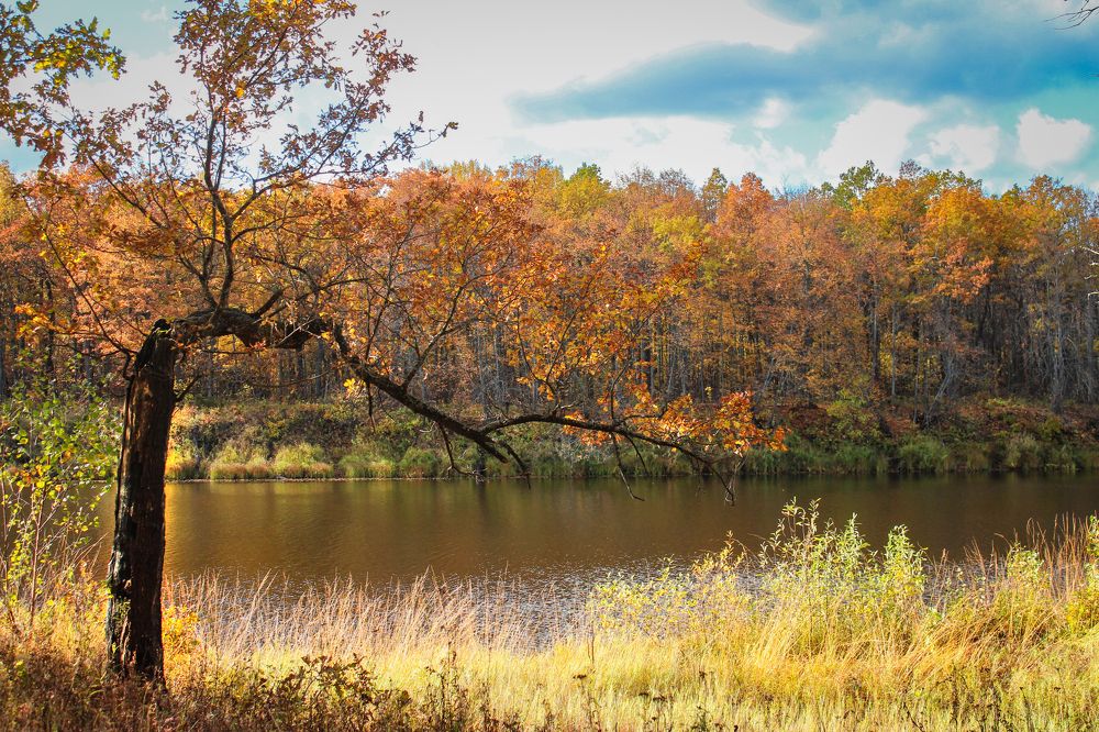 Осень на Клязьме