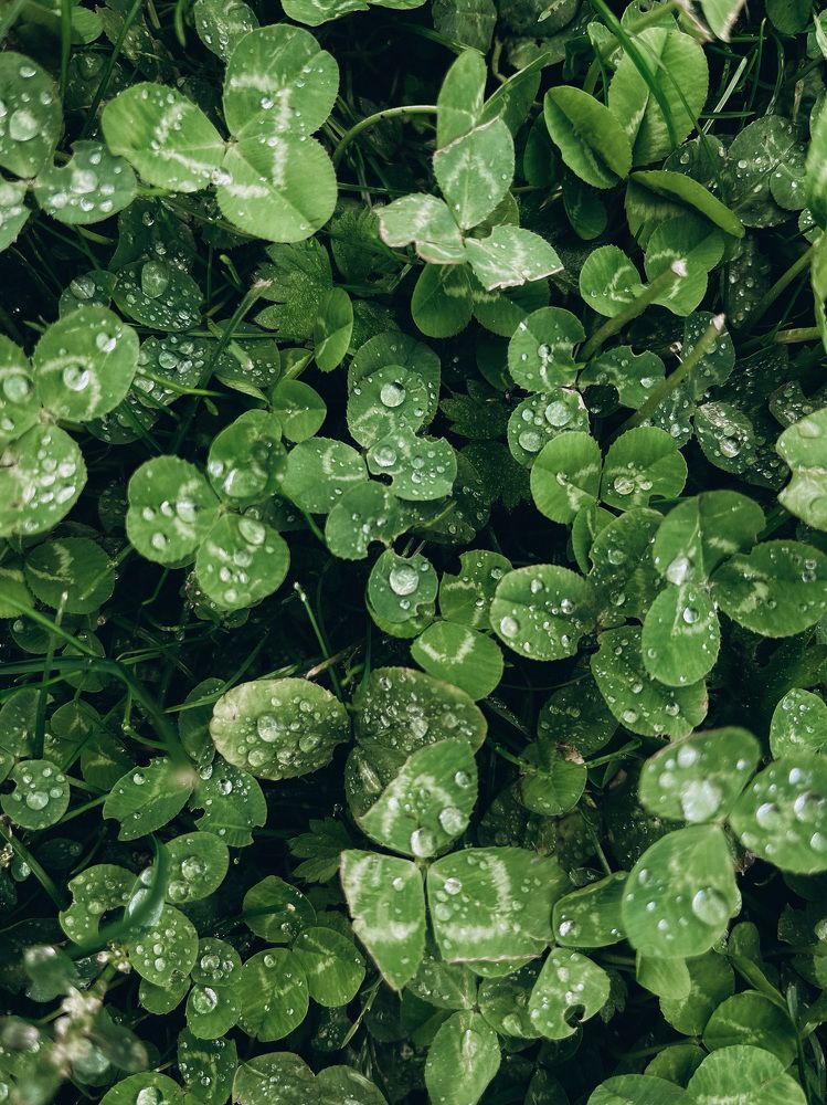 Photograph by Maria Kurakhtanova