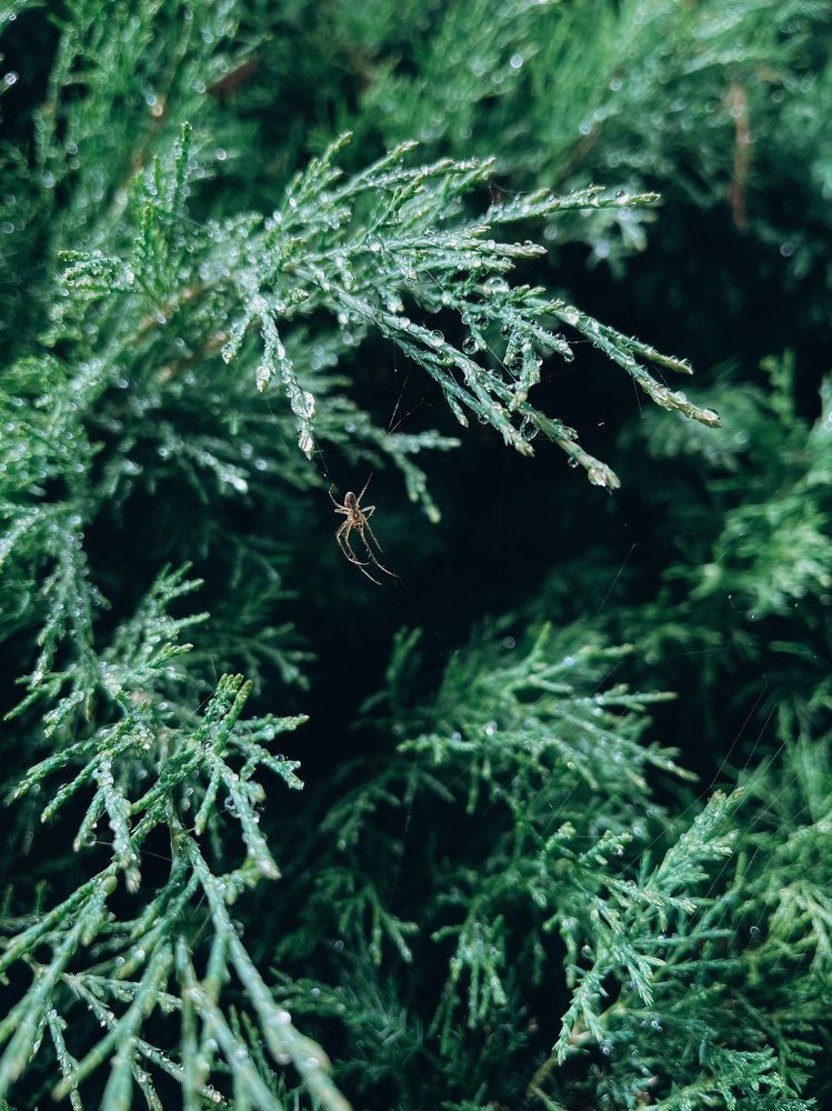 Photograph by Maria Kurakhtanova