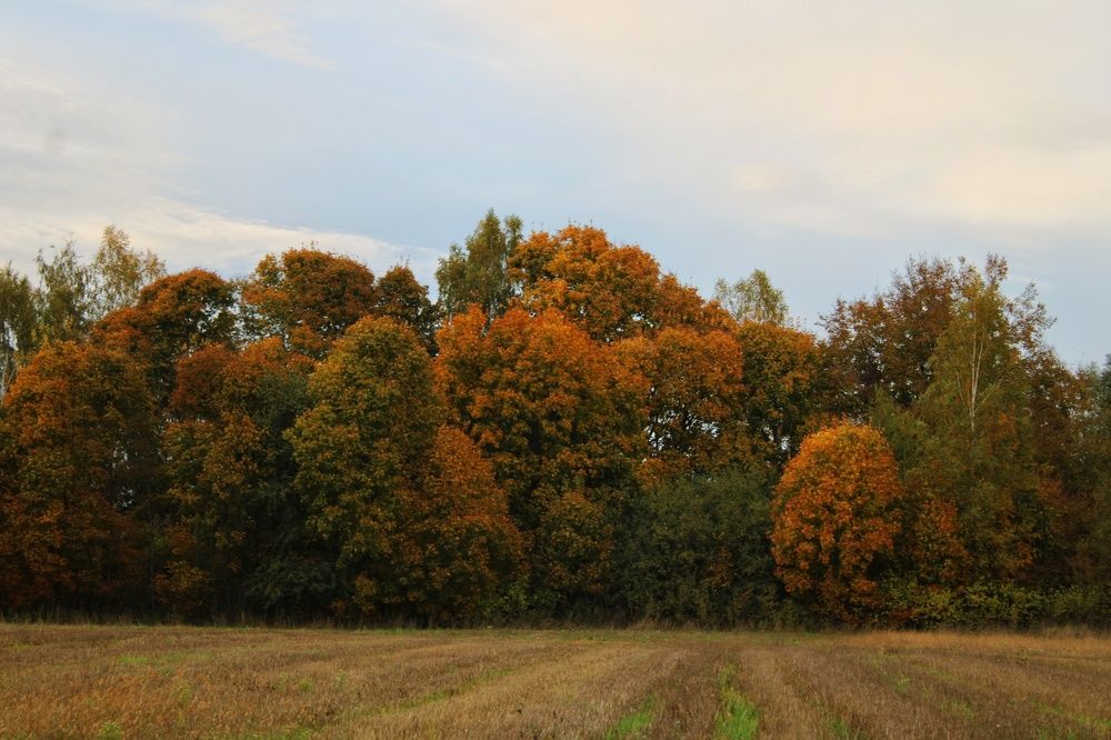 Photograph by Виктория Старовойтова
