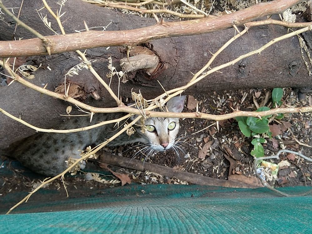 Photograph by sumit sitole