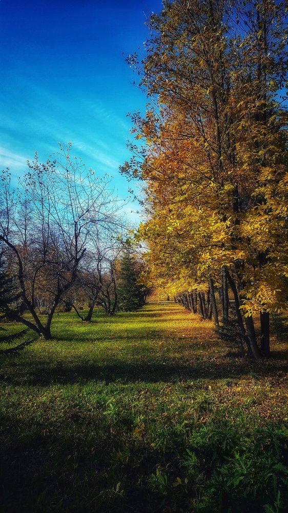 Photograph by Митюшкова Алёна