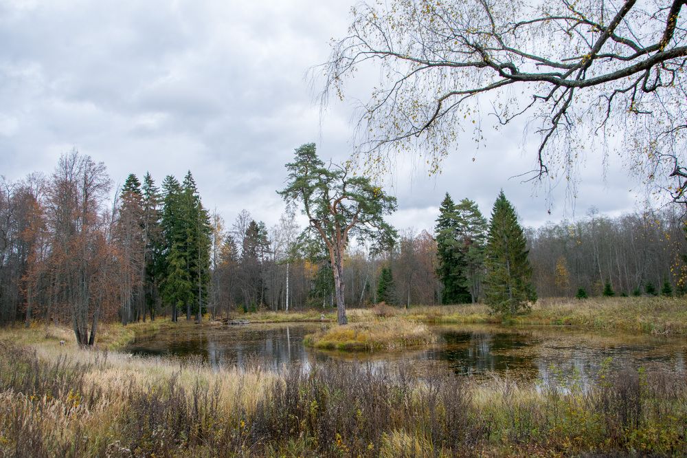 Осень. Раек.