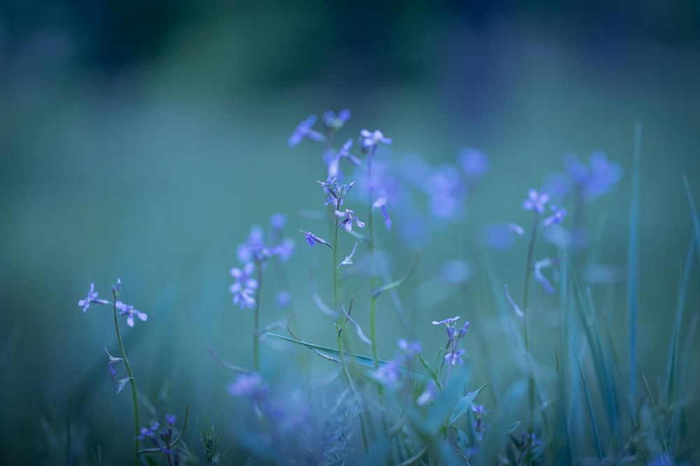 Photograph by Biryukova Anastasia