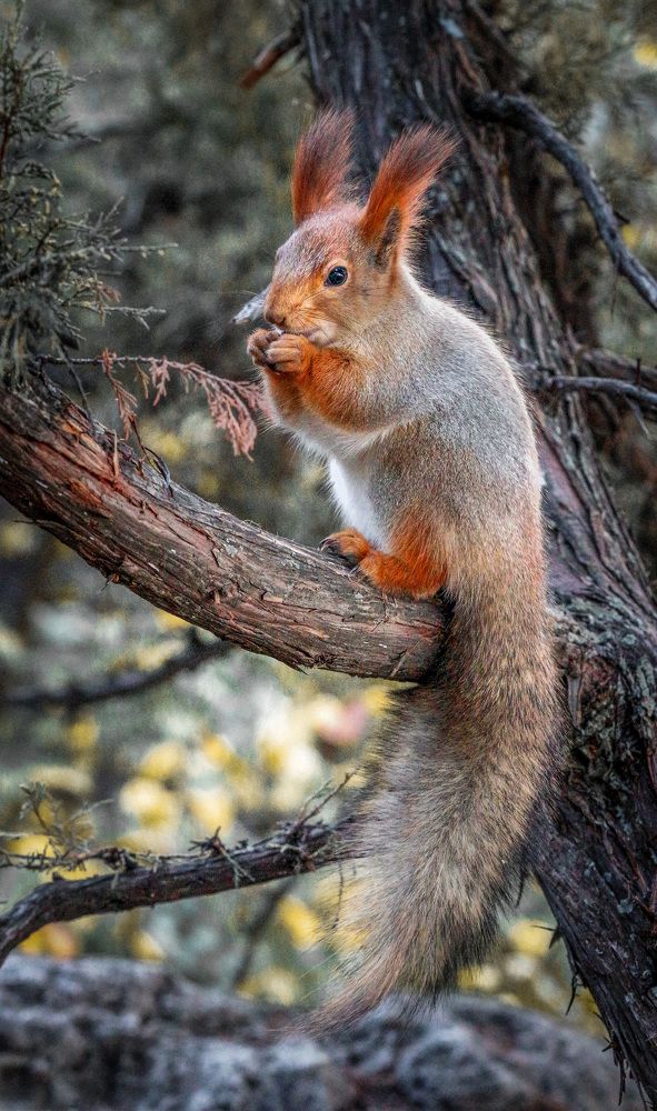 Photograph by Biryukova Anastasia