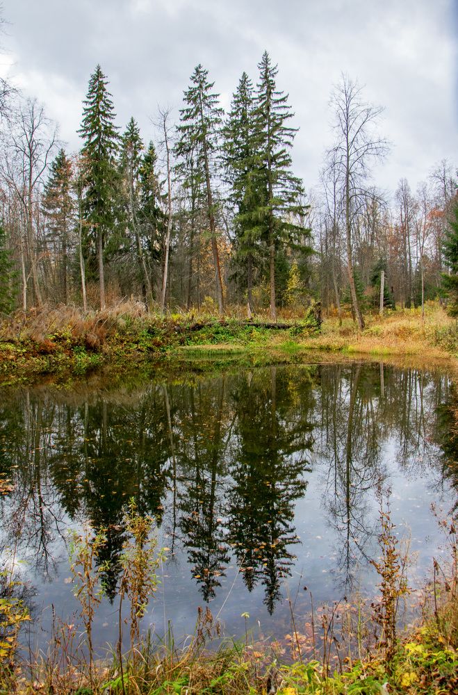 Осеннее отражение