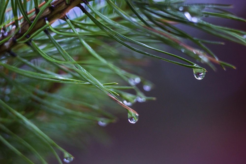 Photograph by Равиль Исмаилов