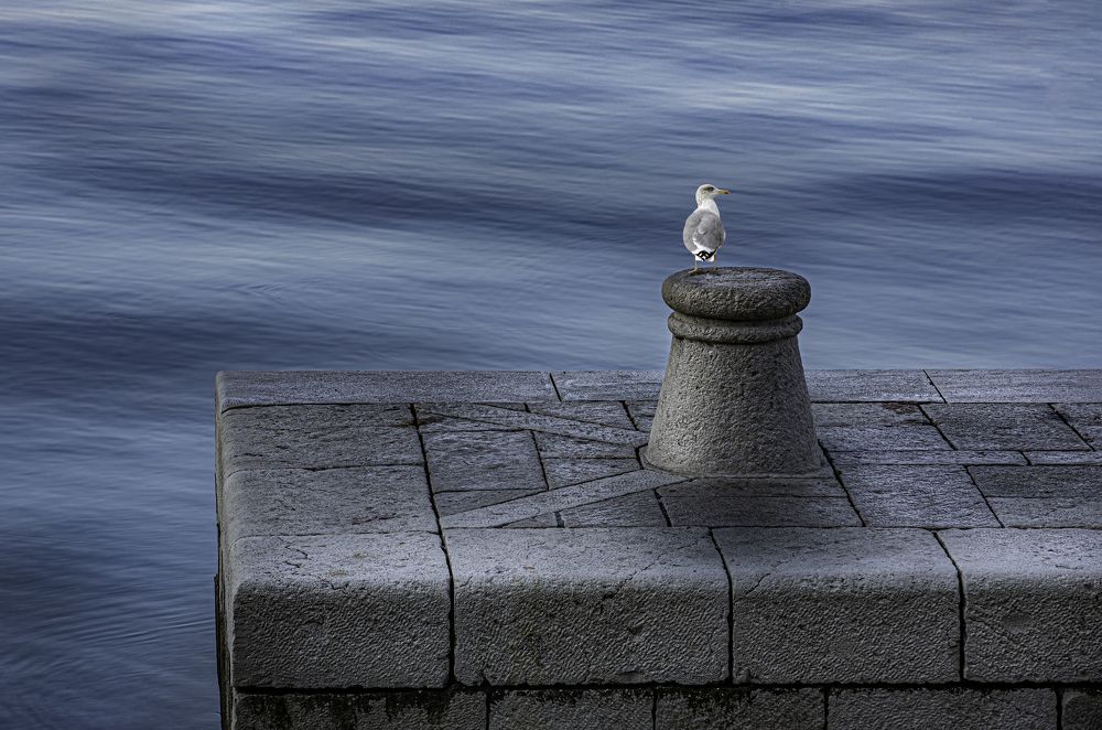 Фотография автора Damir B.