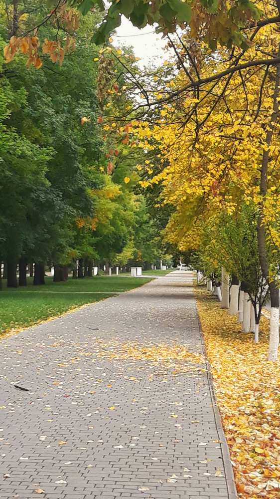 Photograph by Светлана Усатенко