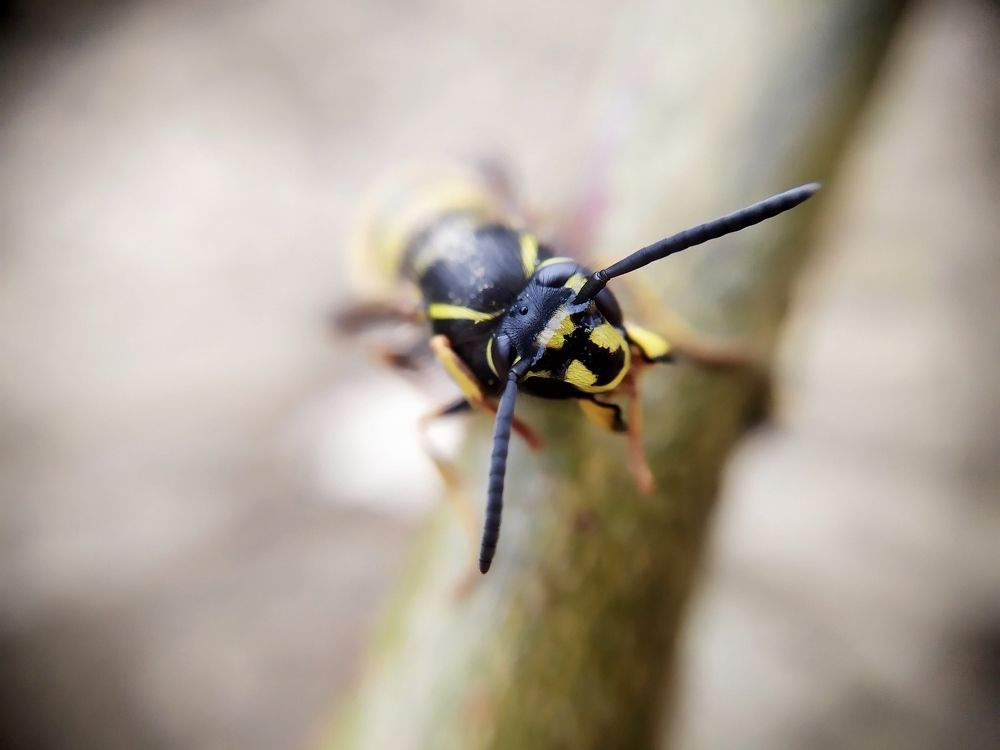 Photograph by Юлия Смирнова