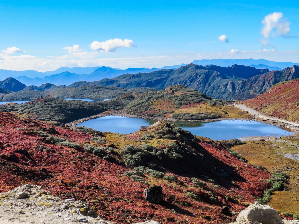 Photograph by Susmita Paul