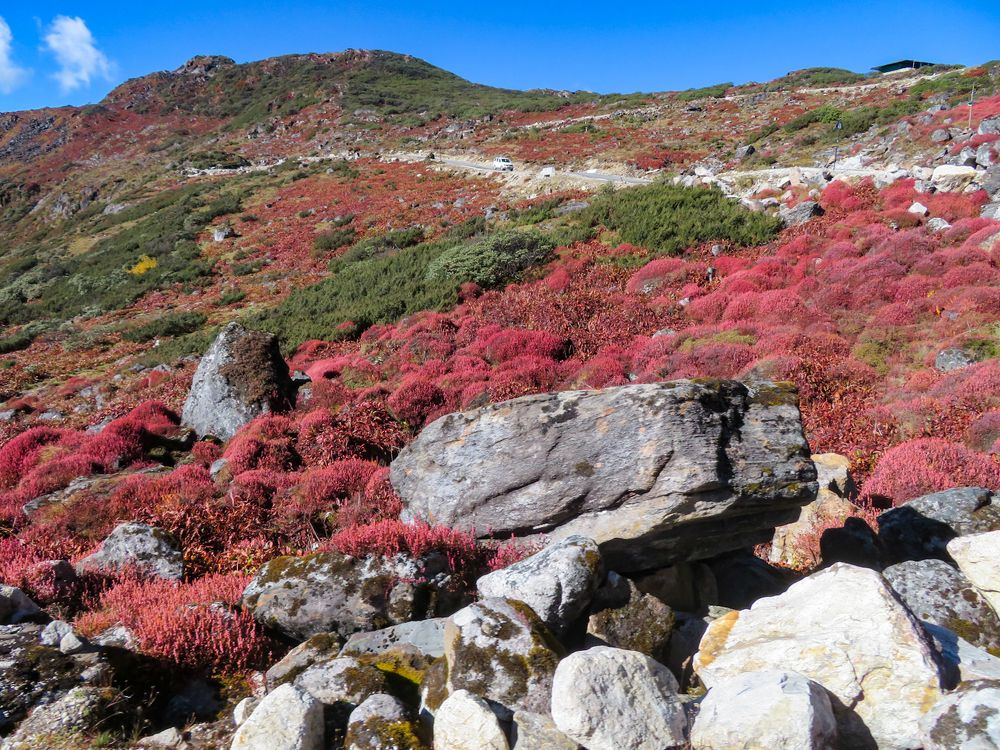 Photograph by Susmita Paul