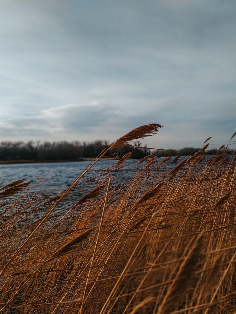 Фотография автора Юлия Гантимурова