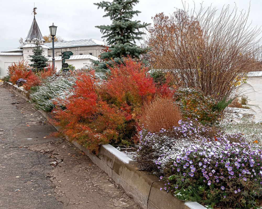 Photograph by Vladimir  Komarov